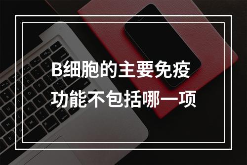 B细胞的主要免疫功能不包括哪一项