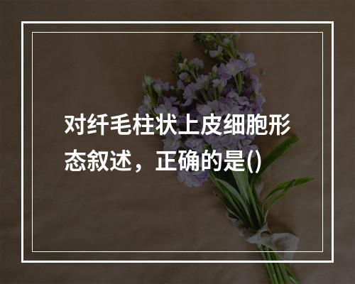 对纤毛柱状上皮细胞形态叙述，正确的是()