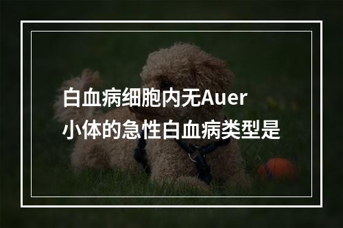 白血病细胞内无Auer小体的急性白血病类型是