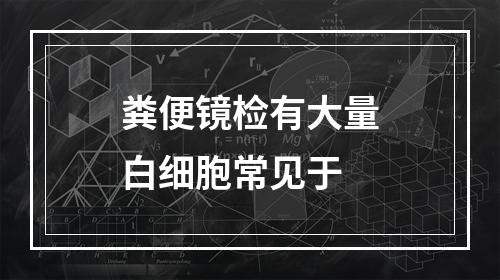 粪便镜检有大量白细胞常见于