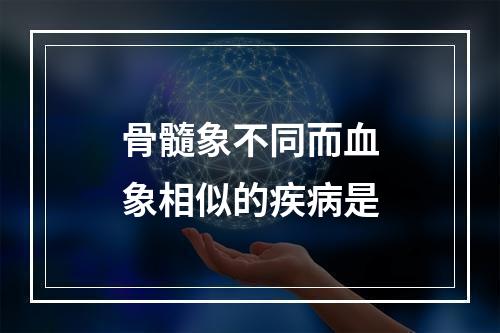 骨髓象不同而血象相似的疾病是