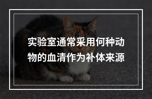 实验室通常采用何种动物的血清作为补体来源