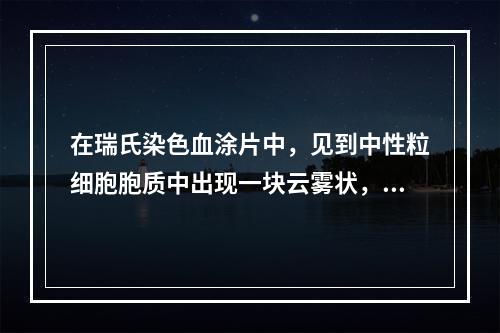 在瑞氏染色血涂片中，见到中性粒细胞胞质中出现一块云雾状，界限