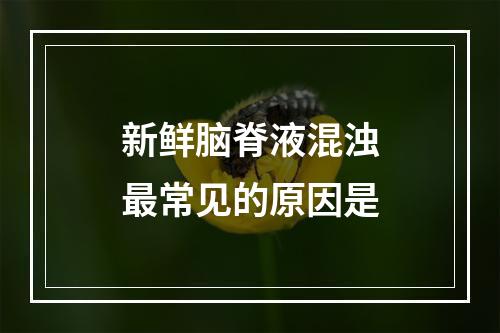 新鲜脑脊液混浊最常见的原因是