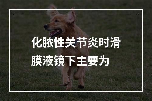 化脓性关节炎时滑膜液镜下主要为