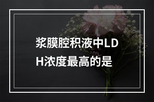 浆膜腔积液中LDH浓度最高的是