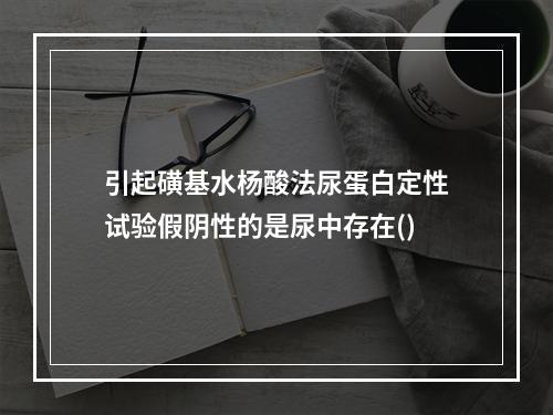 引起磺基水杨酸法尿蛋白定性试验假阴性的是尿中存在()