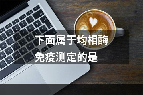 下面属于均相酶免疫测定的是