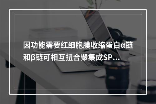 因功能需要红细胞膜收缩蛋白α链和β链可相互扭合聚集成SPT，