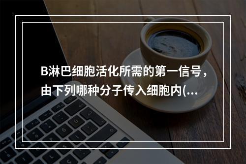 B淋巴细胞活化所需的第一信号，由下列哪种分子传入细胞内()