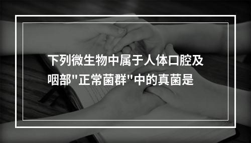 下列微生物中属于人体口腔及咽部