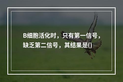 B细胞活化时，只有第一信号，缺乏第二信号，其结果是()