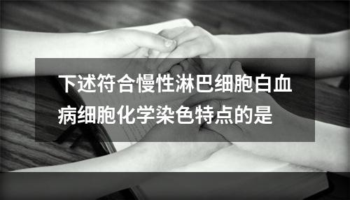 下述符合慢性淋巴细胞白血病细胞化学染色特点的是