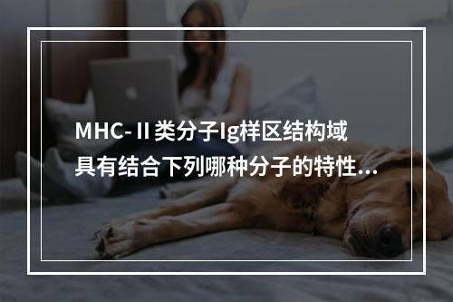 MHC-Ⅱ类分子Ig样区结构域具有结合下列哪种分子的特性()