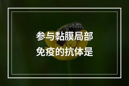 参与黏膜局部免疫的抗体是