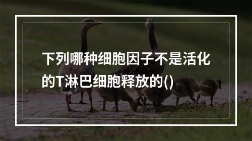 下列哪种细胞因子不是活化的T淋巴细胞释放的()