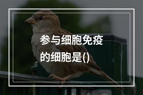 参与细胞免疫的细胞是()