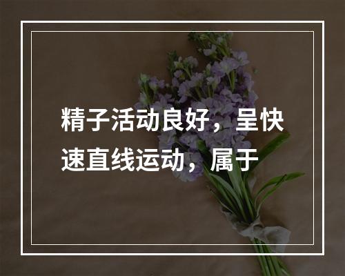 精子活动良好，呈快速直线运动，属于