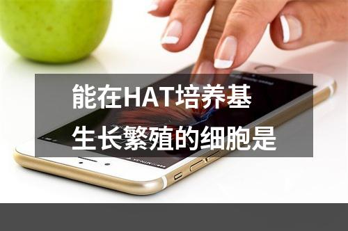 能在HAT培养基生长繁殖的细胞是