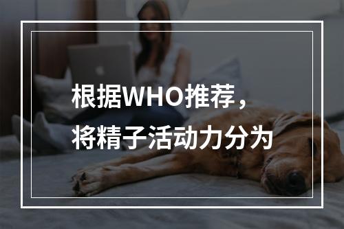 根据WHO推荐，将精子活动力分为