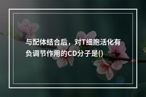 与配体结合后，对T细胞活化有负调节作用的CD分子是()