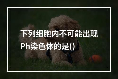 下列细胞内不可能出现Ph染色体的是()