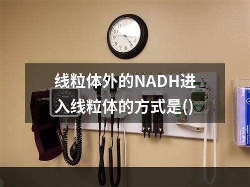 线粒体外的NADH进入线粒体的方式是()