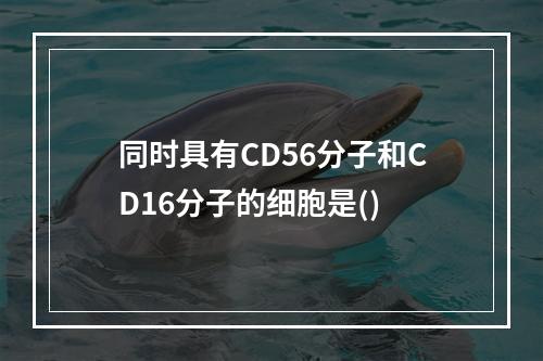 同时具有CD56分子和CD16分子的细胞是()