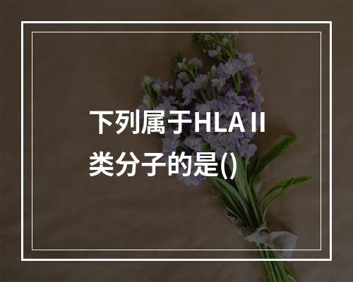 下列属于HLAⅡ类分子的是()