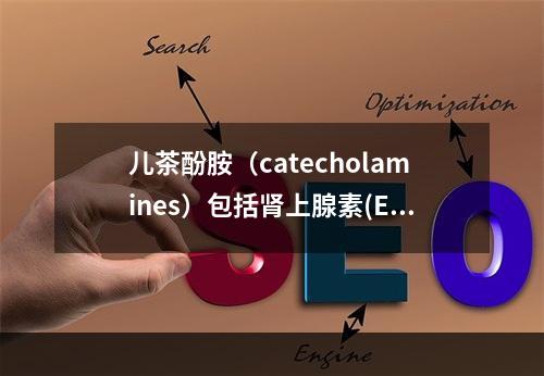 儿茶酚胺（catecholamines）包括肾上腺素(E)，