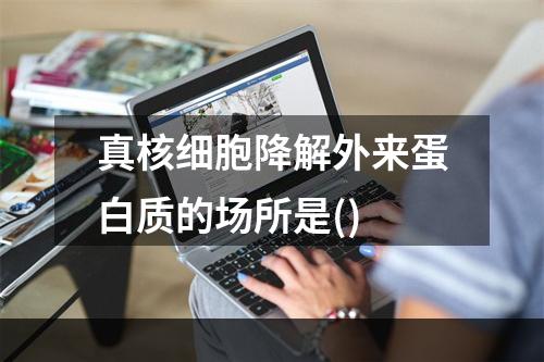 真核细胞降解外来蛋白质的场所是()