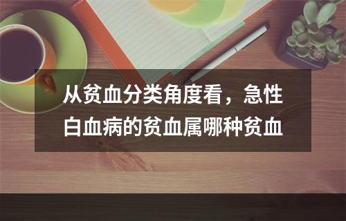 从贫血分类角度看，急性白血病的贫血属哪种贫血