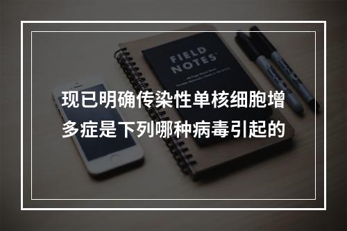 现已明确传染性单核细胞增多症是下列哪种病毒引起的