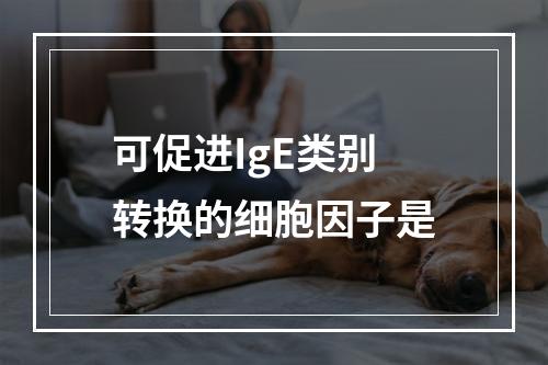 可促进IgE类别转换的细胞因子是