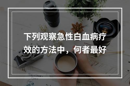 下列观察急性白血病疗效的方法中，何者最好