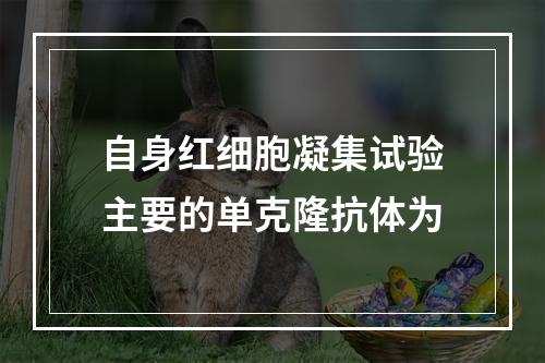 自身红细胞凝集试验主要的单克隆抗体为