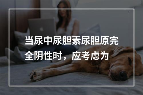 当尿中尿胆素尿胆原完全阴性时，应考虑为