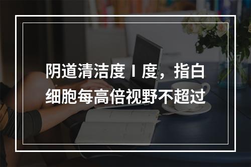 阴道清洁度Ⅰ度，指白细胞每高倍视野不超过