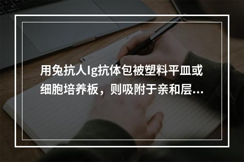 用兔抗人Ig抗体包被塑料平皿或细胞培养板，则吸附于亲和层析板