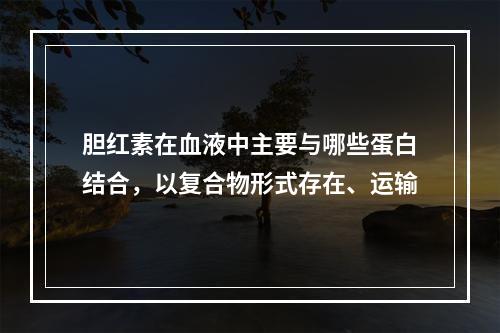 胆红素在血液中主要与哪些蛋白结合，以复合物形式存在、运输