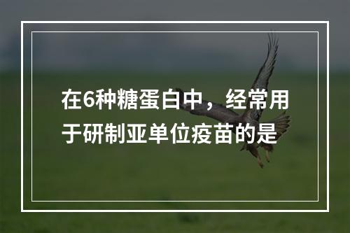 在6种糖蛋白中，经常用于研制亚单位疫苗的是