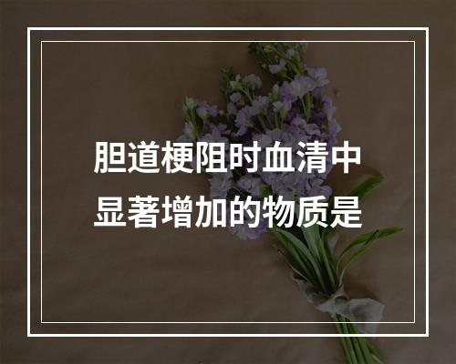 胆道梗阻时血清中显著增加的物质是