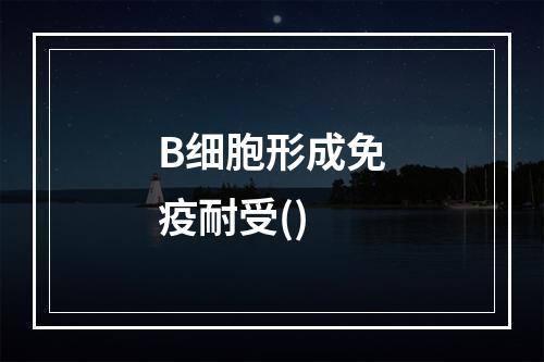 B细胞形成免疫耐受()