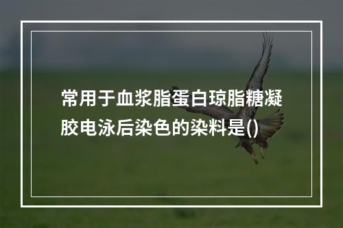 常用于血浆脂蛋白琼脂糖凝胶电泳后染色的染料是()