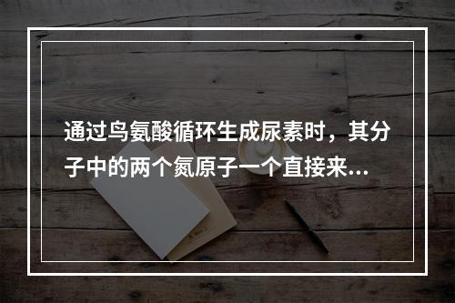 通过鸟氨酸循环生成尿素时，其分子中的两个氮原子一个直接来自游