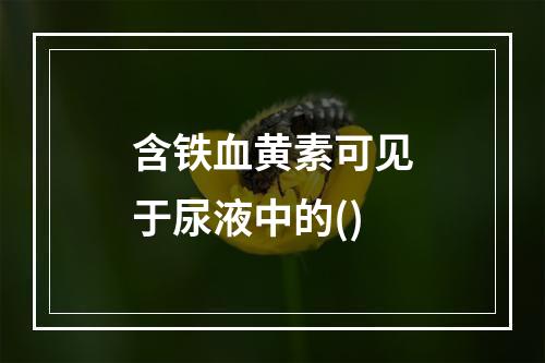 含铁血黄素可见于尿液中的()