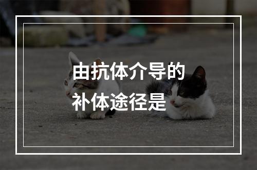 由抗体介导的补体途径是