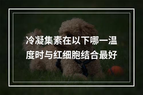 冷凝集素在以下哪一温度时与红细胞结合最好