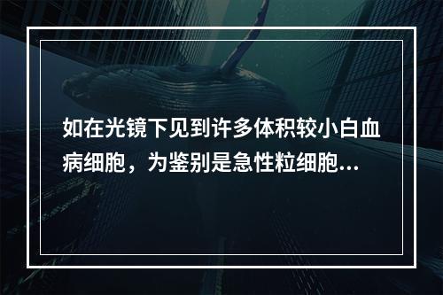 如在光镜下见到许多体积较小白血病细胞，为鉴别是急性粒细胞白血