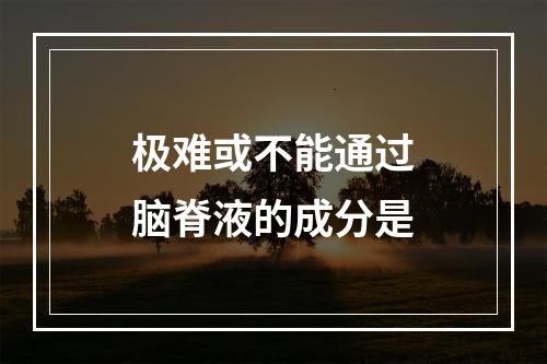 极难或不能通过脑脊液的成分是